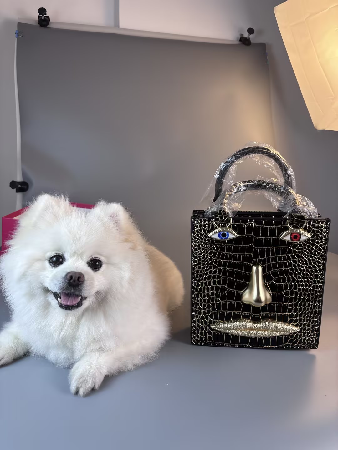 New Face Bag Women High Qualit - Luxury Bags Gold review and price