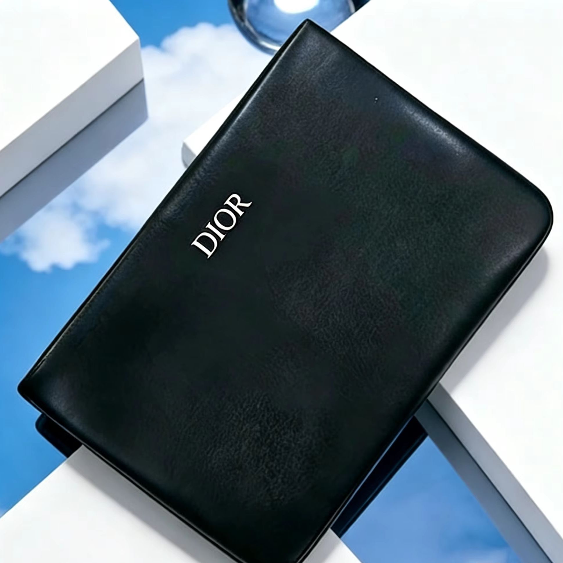 Dior’s Bag Unique Black Leathe - Luxury Bags Dior review and price
