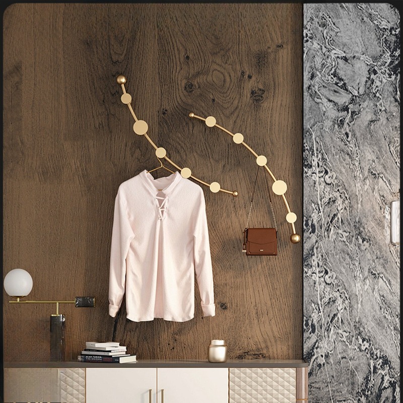Light Luxury Wall Mounted Coat - Luxury Bags Entry review and price